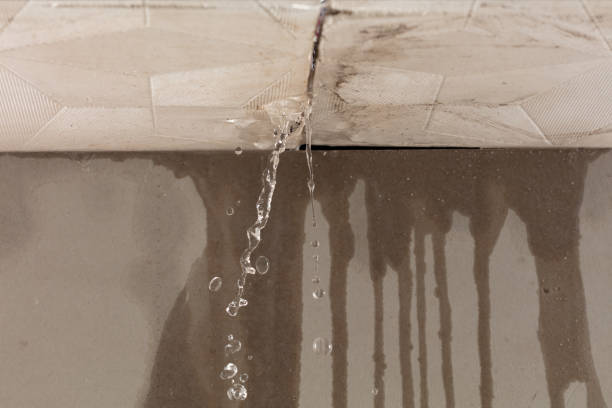 Professional Structural Drying technician working in Saint Helen, MI
